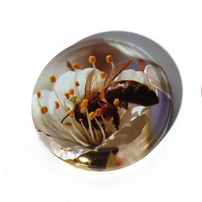 Nieuw ontwerp 20mm 38mm 48mm 63mm Custom Kleur Metalen Pot Deksels Metalen Lug Cap voor Canning Jar 12